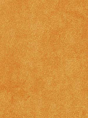 Robert Allen Fabric 045539 Sensuede Apricot Juice