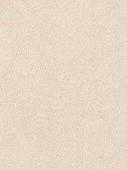 Robert Allen Fabric 045579 Sensuede Pebble