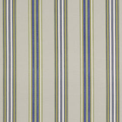 Robert Allen Fabric 045589 Padgetville Sapphire