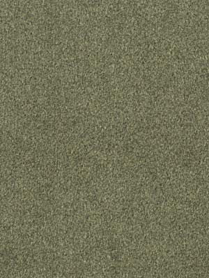 Robert Allen Fabric 045899 Flannel Suede Cypress