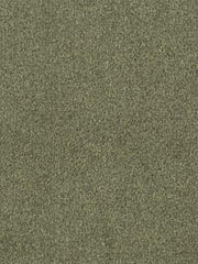 Robert Allen Fabric 045899 Flannel Suede Cypress
