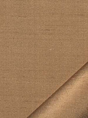 Robert Allen Fabric 046155 Adelle Mushroom