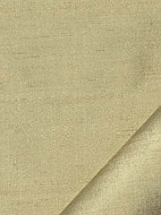 Robert Allen Fabric 046178 Adelle Celery