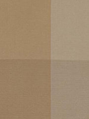 Robert Allen Fabric 046205 Squares Honey