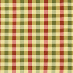 Robert Allen Fabric 046257 Dinesh Persimmon