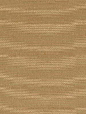 Robert Allen Fabric 046364 Ragini Honey