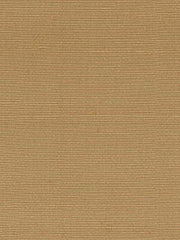 Robert Allen Fabric 046364 Ragini Honey