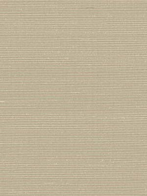Robert Allen Fabric 046365 Ragini Pearl