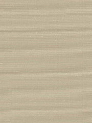 Robert Allen Fabric 046365 Ragini Pearl