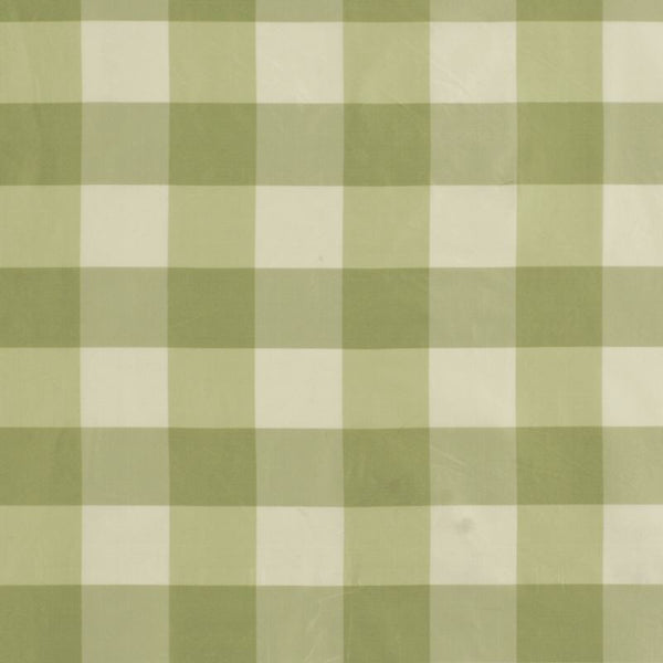 Robert Allen Fabric 046588 Acanda Grass