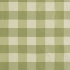 Robert Allen Fabric 046588 Acanda Grass