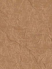 Robert Allen Fabric 046655 Adelle Crushed Desert