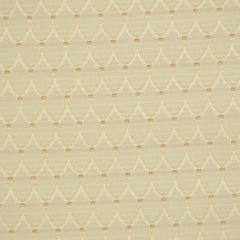 Robert Allen Fabric 047483 Convexity Rosemist