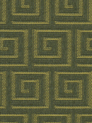 Robert Allen Fabric 047493 Convolution Boxwood