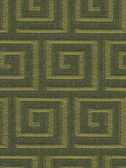 Robert Allen Fabric 047493 Convolution Boxwood
