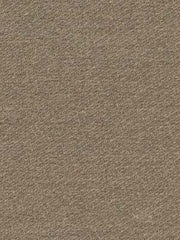 Robert Allen Fabric 047589 Westmark Vapor