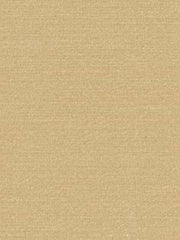 Robert Allen Fabric 047591 Westmark Pearl