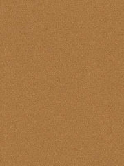 Robert Allen Fabric 047612 Westmark Straw