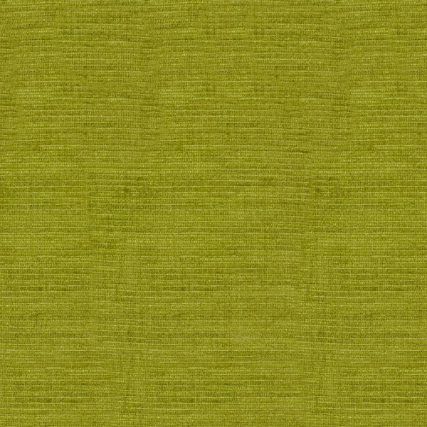 Robert Allen Fabric 047668 Aspire Grass