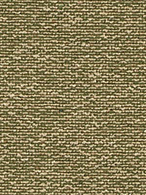 Robert Allen Fabric 048389 Pleadwell Grass