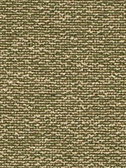 Robert Allen Fabric 048389 Pleadwell Grass
