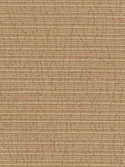 Robert Allen Fabric 048544 Raffia