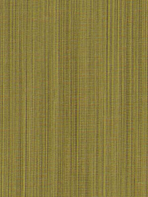 Robert Allen Fabric 049388 Garcia Grass