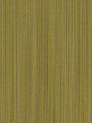 Robert Allen Fabric 049388 Garcia Grass