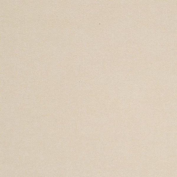 Robert Allen Fabric 053979 Luxesuede Beige