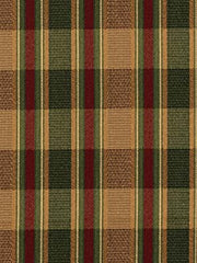 Robert Allen Fabric 055897 Fonseca Ivy