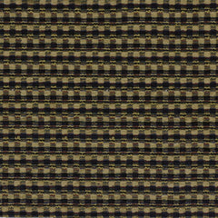 Robert Allen Fabric 056115 Hysterium Black