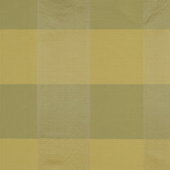 Beacon Hill Fabric 059538 Checked Plaid Golden Aqua