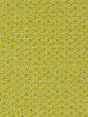 Robert Allen Fabric 060271 Lemon Lime