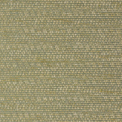Robert Allen Fabric 060304 Simple Lines Honeydew