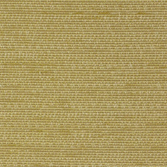 Robert Allen Fabric 060307 Simple Lines Wild Honey