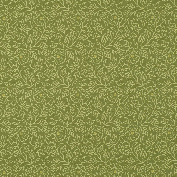 Robert Allen Fabric 060835 Jamesport Honeydew