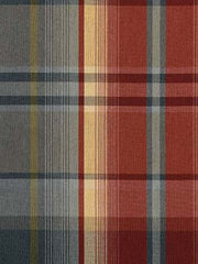 Robert Allen Fabric 061608 Mcgeary Patriot