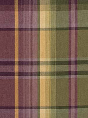 Robert Allen Fabric 061618 Mcgeary African Violet
