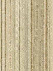 Robert Allen Fabric 062027 Placerville Alabaster