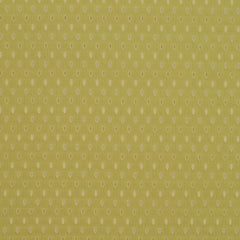Robert Allen Fabric 062266 Waterson Willow