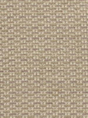 Robert Allen Fabric 062336 Spindrift Platinum