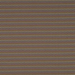Robert Allen Fabric 062419 Jessel Plum