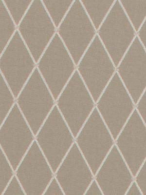 Robert Allen Fabric 062603 Session Platinum