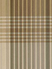 Robert Allen Fabric 062658 Vito Platinum