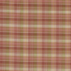 Robert Allen Fabric 062695 Mojo Adobe