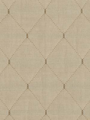 Robert Allen Fabric 062727 Hugo Platinum