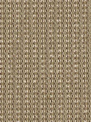 Robert Allen Fabric 062736 Morphic Platinum