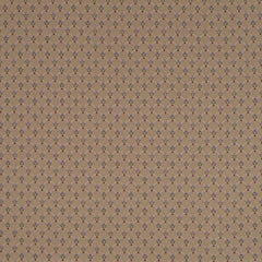 Robert Allen Fabric 062939 Lamborn Plum