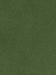 Beacon Hill Fabric 063837 Luxury Velvet Spring Green