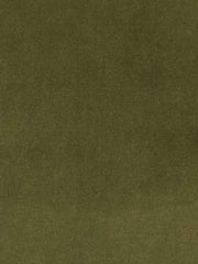 Beacon Hill Fabric 063841 Luxury Velvet Lichen